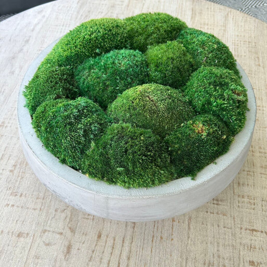 Concrete Pot with Moss
