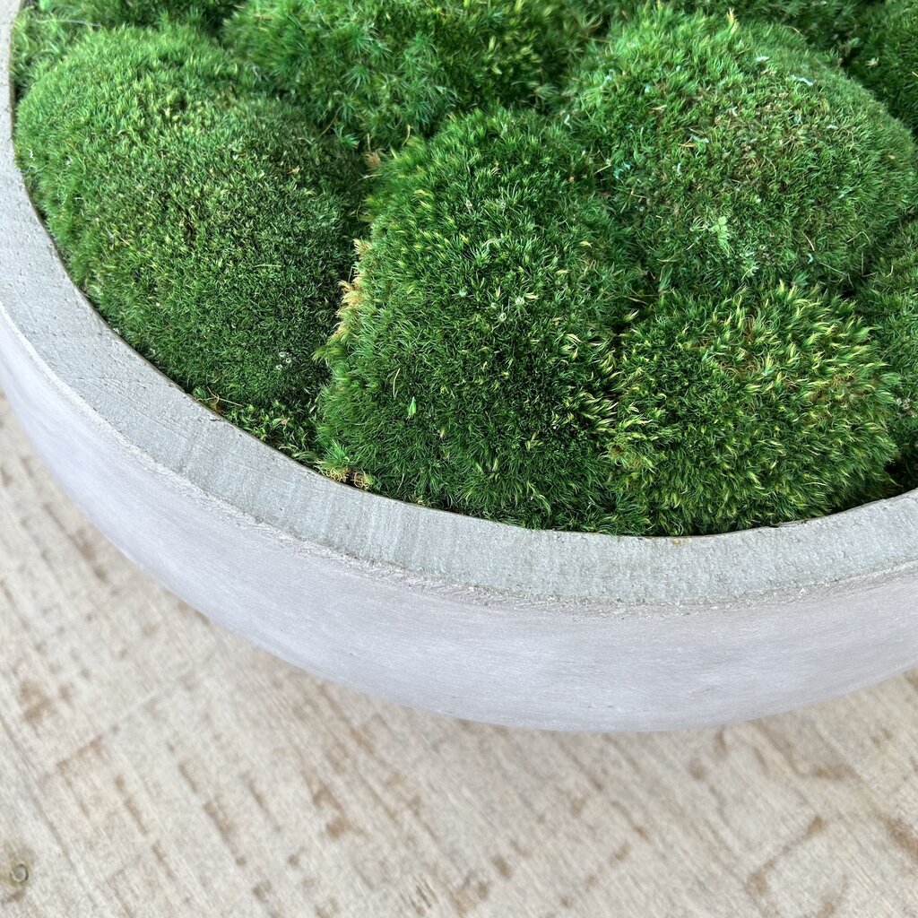 Concrete Pot with Moss