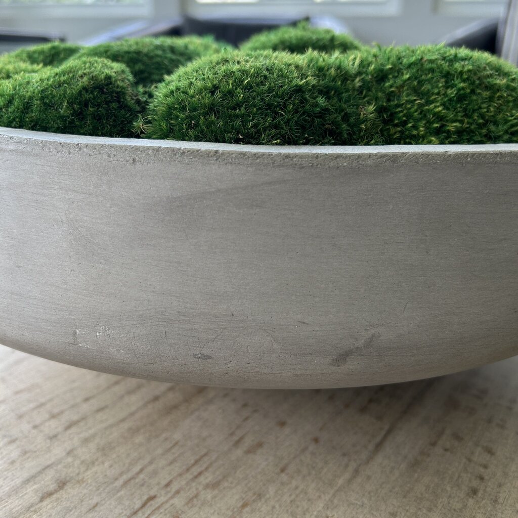 Concrete Pot with Moss