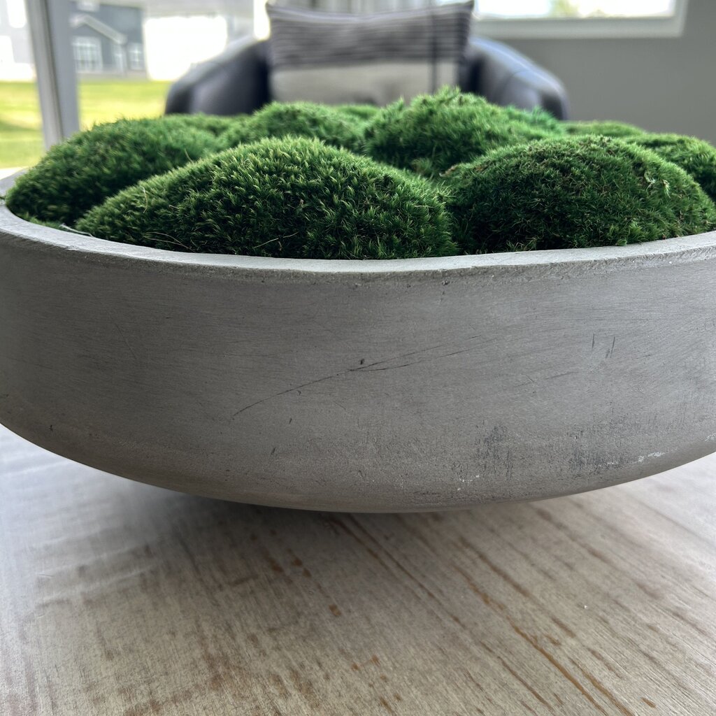 Concrete Pot with Moss