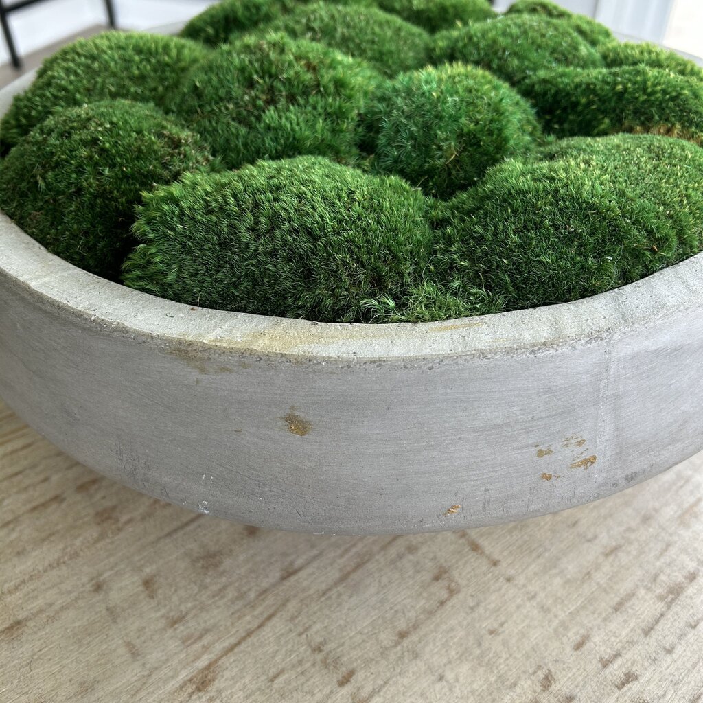 Concrete Pot with Moss