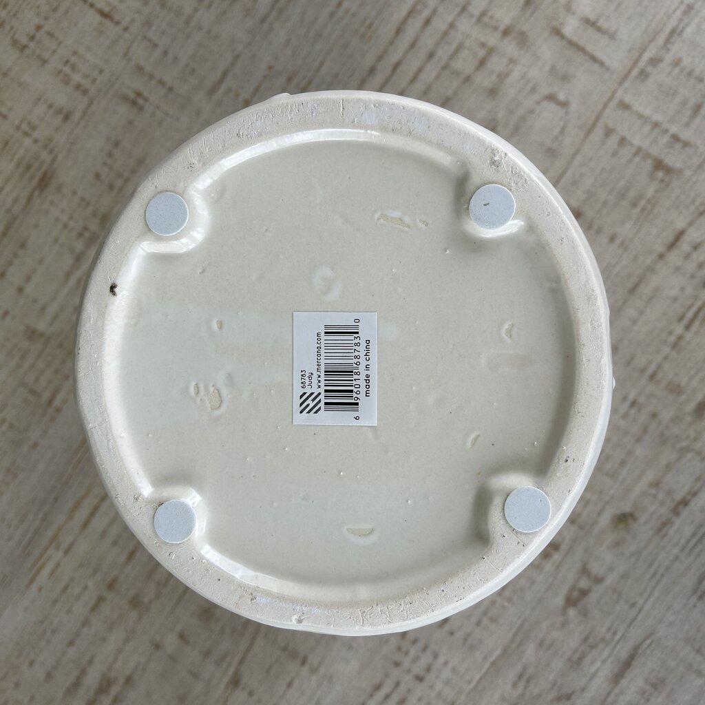 Round Textured Vase w Handles