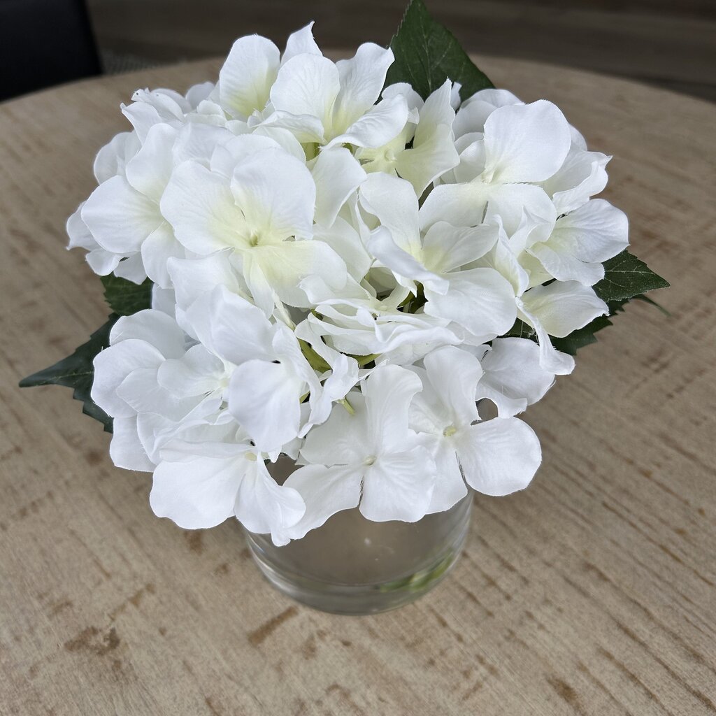 White Flowers in Glass Vase
