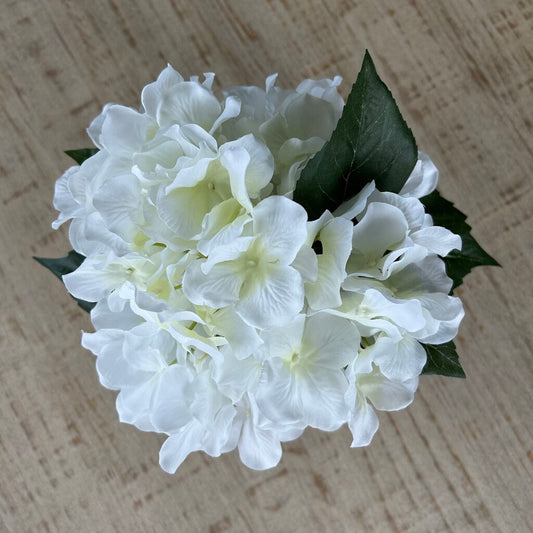 White Flowers in Glass Vase