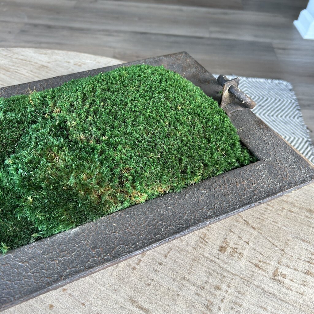 Metal Rectangular Tray with Moss