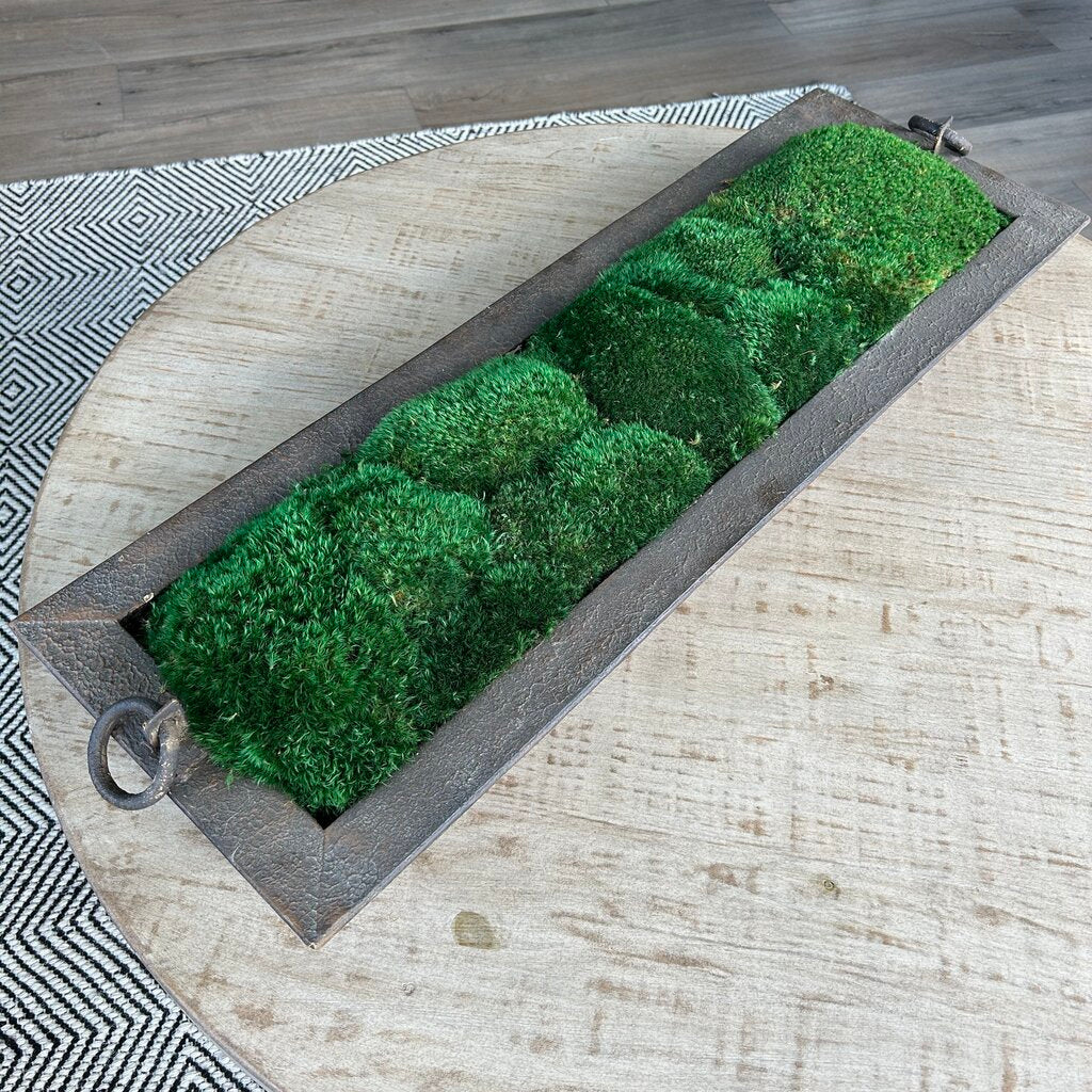 Metal Rectangular Tray with Moss