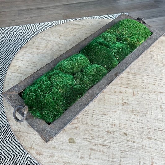 Metal Rectangular Tray with Moss
