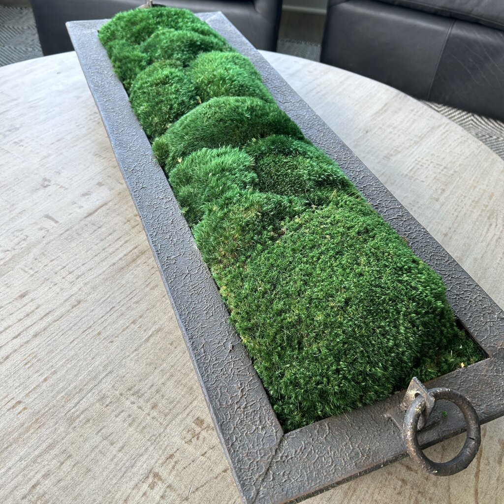 Metal Rectangular Tray with Moss