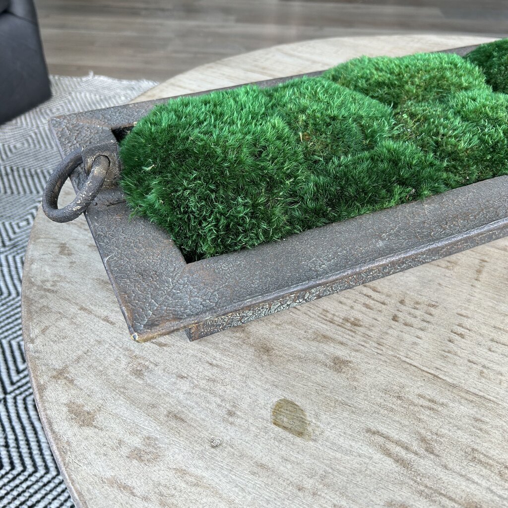 Metal Rectangular Tray with Moss