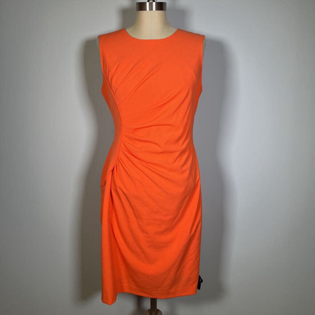 Calvin Klein Slvls Dress