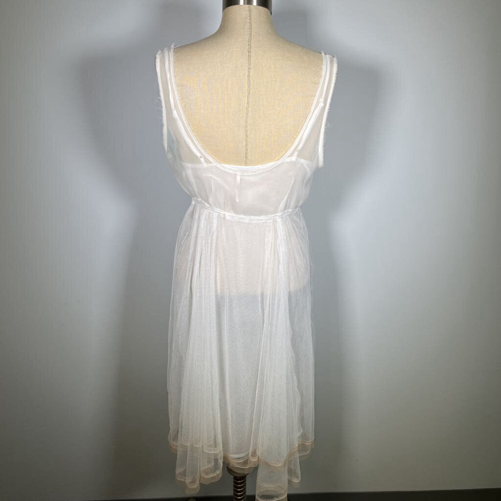 FP 2pc slvls Sheer Dress