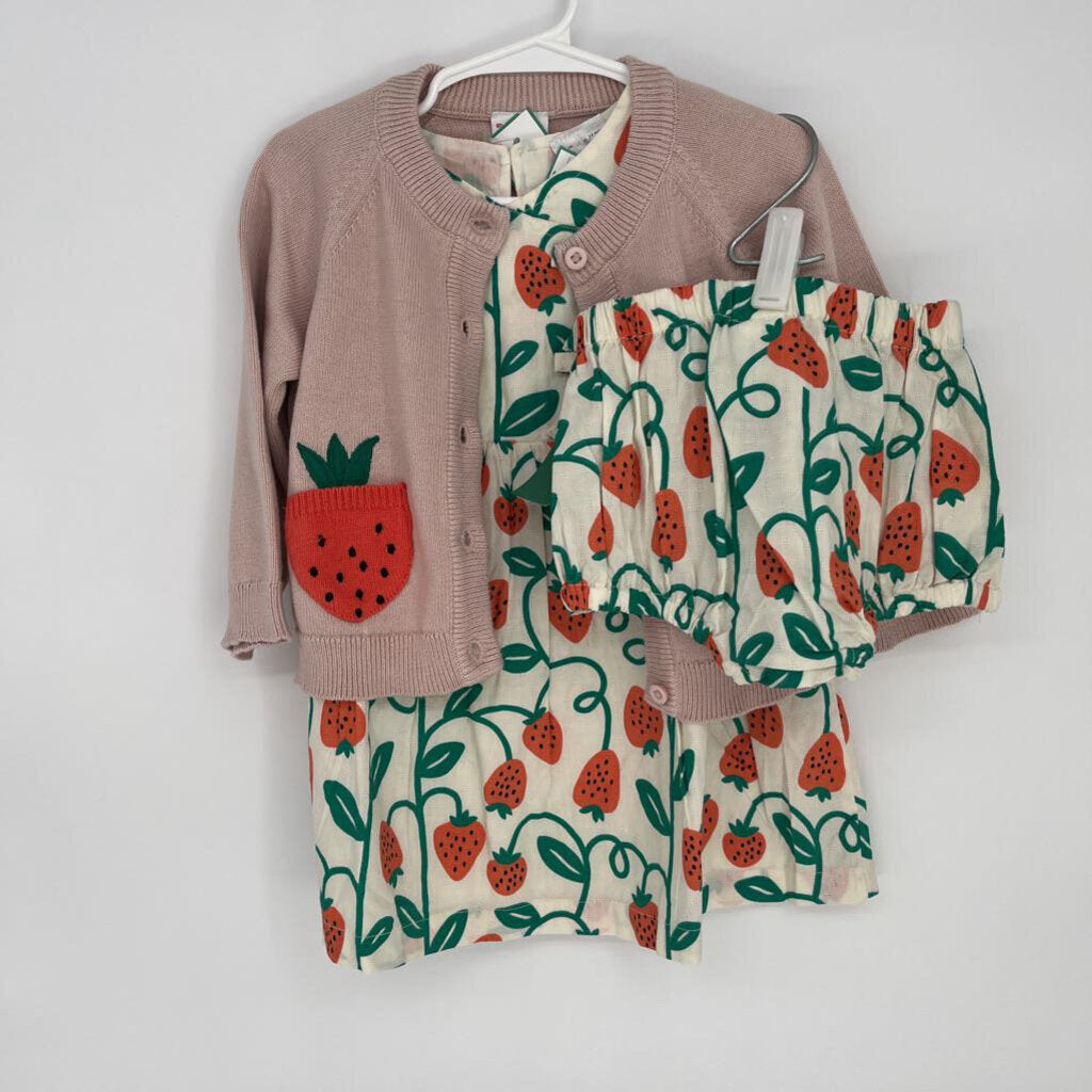 Hanna Andersson 3 Pc Dress