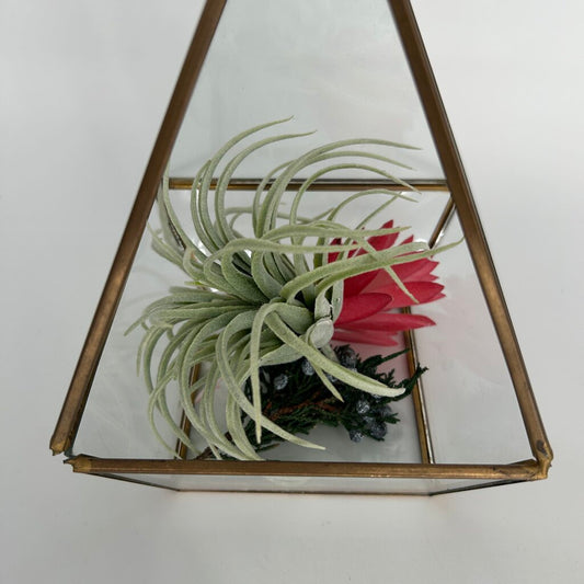 Faux Air Plants in Terrarium