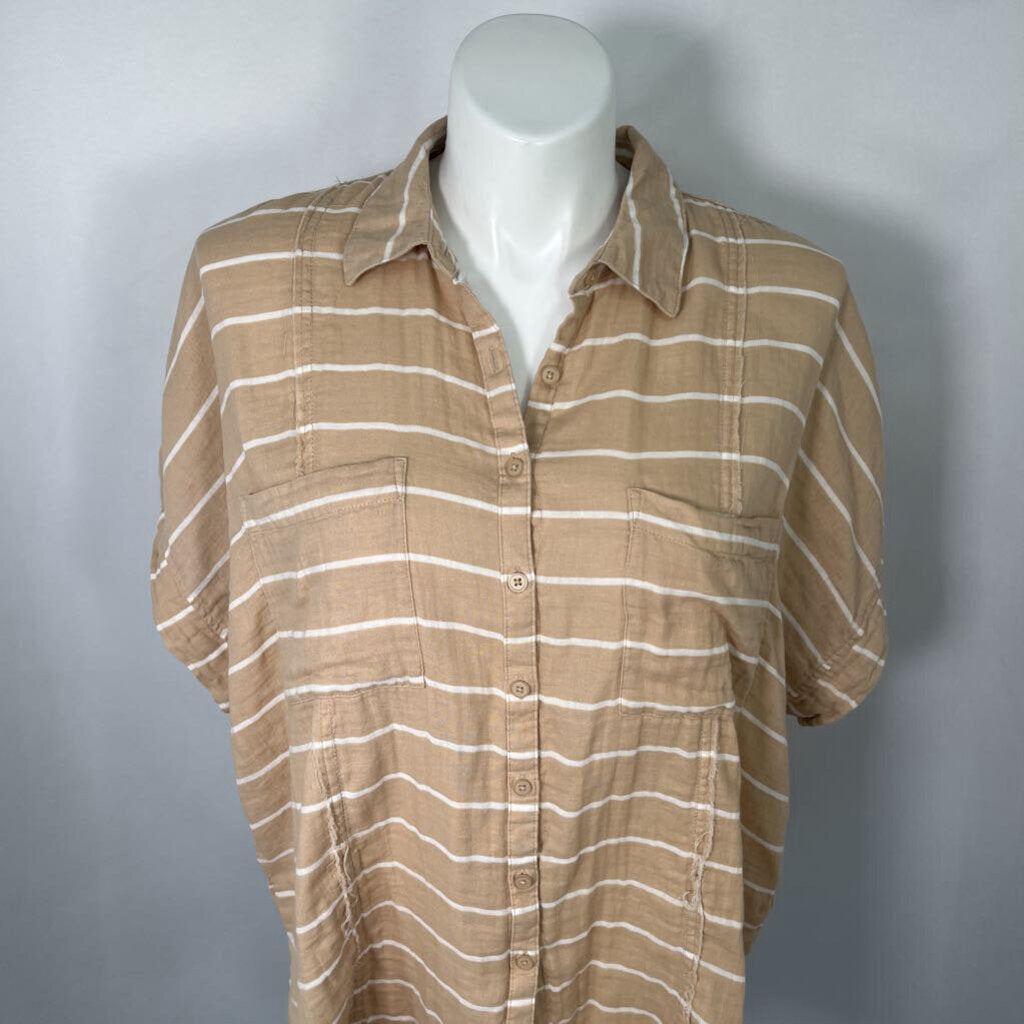 Torrid S/s Shirt