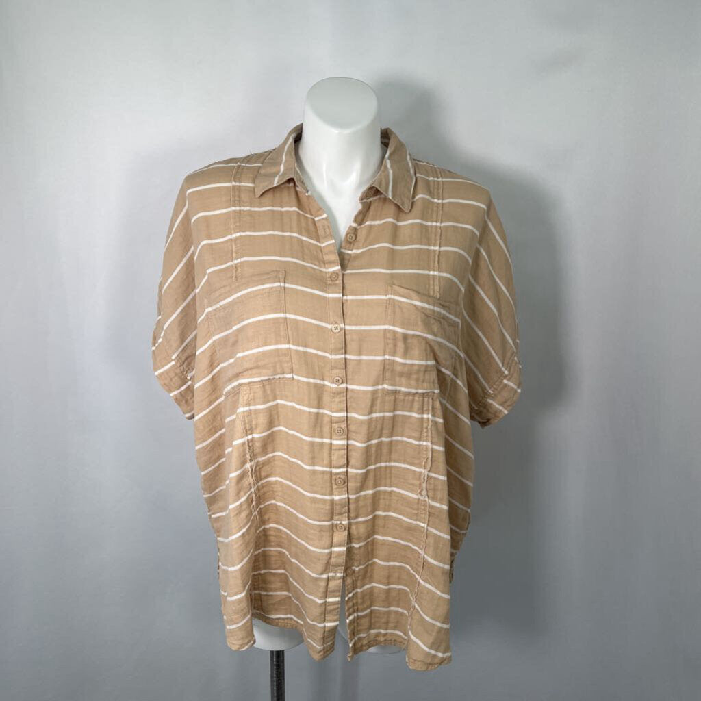 Torrid S/s Shirt