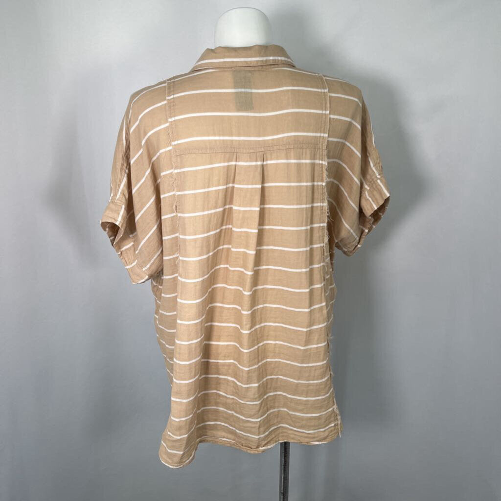 Torrid S/s Shirt