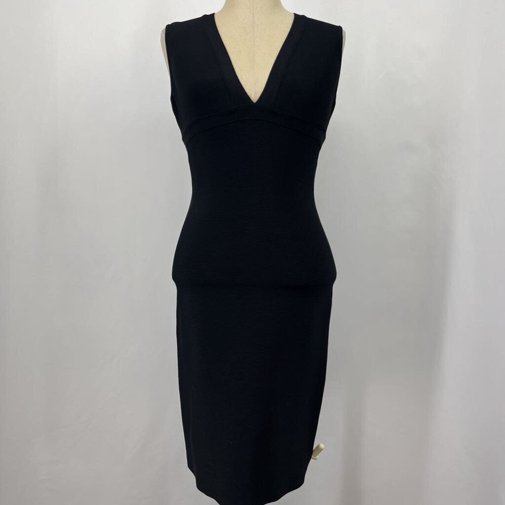 BCBG Slvls Dress