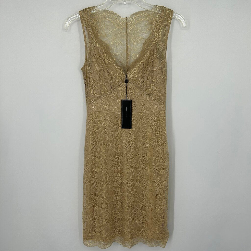 BCBG Lace Dress