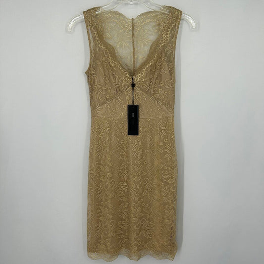 BCBG Lace Dress