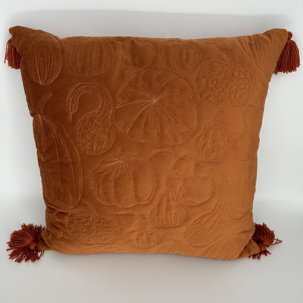 Pumpkin Embroidered Pillow