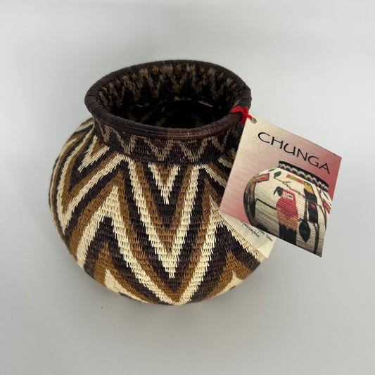 Chevron Stripe Rainforest Basket