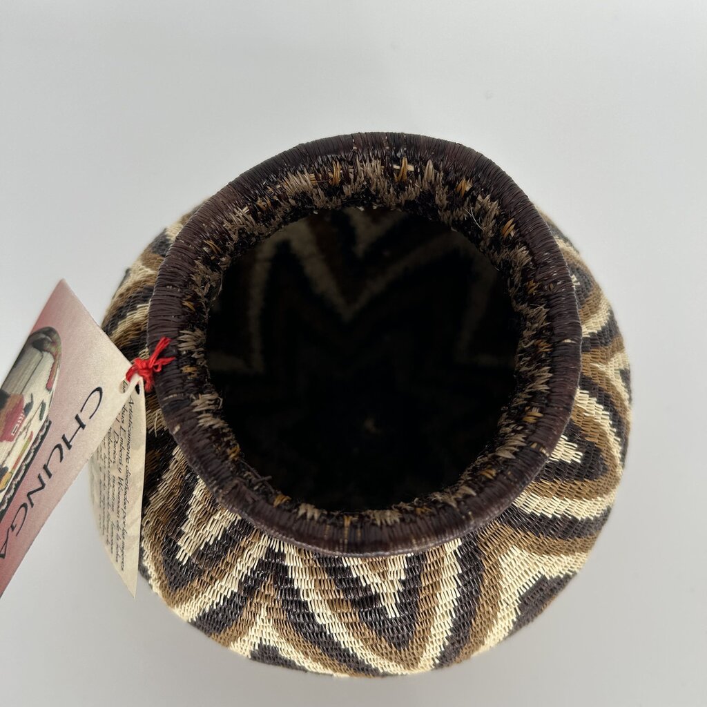 Chevron Stripe Rainforest Basket