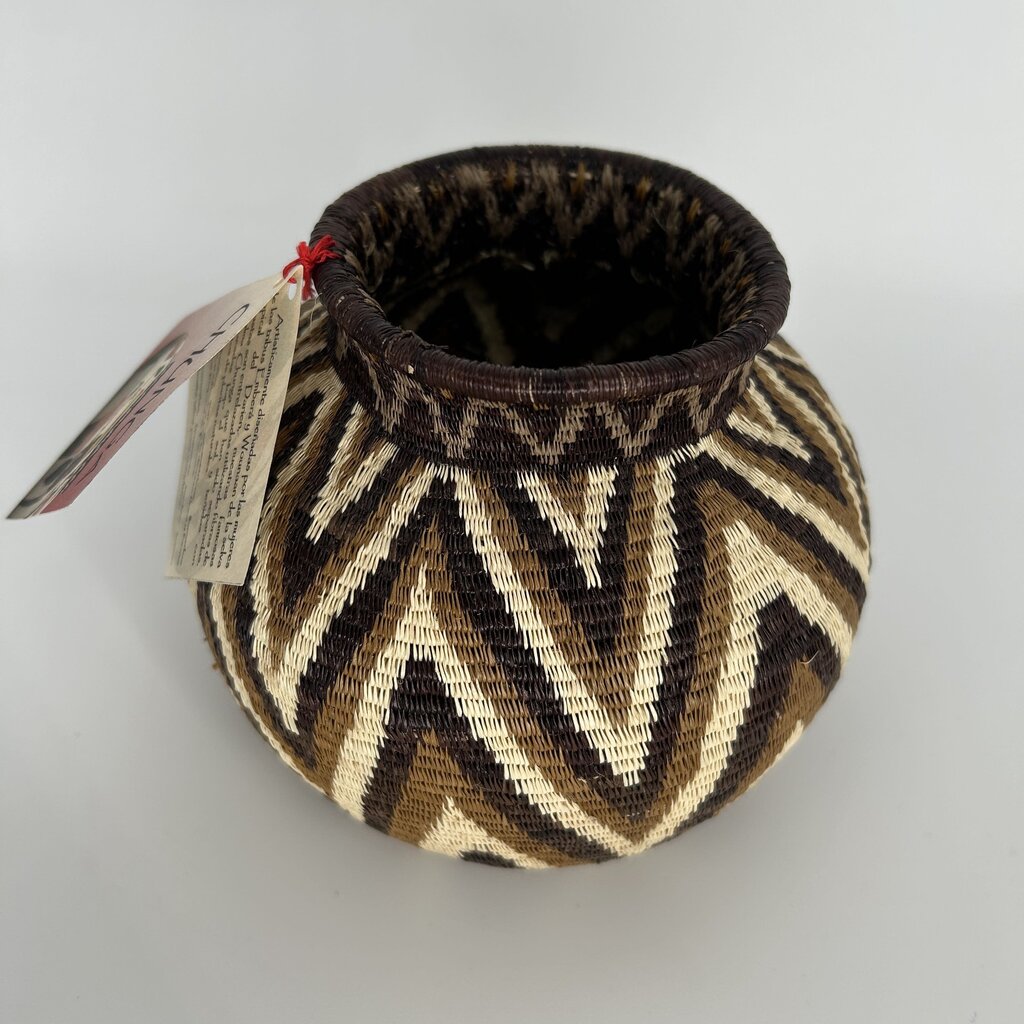 Chevron Stripe Rainforest Basket
