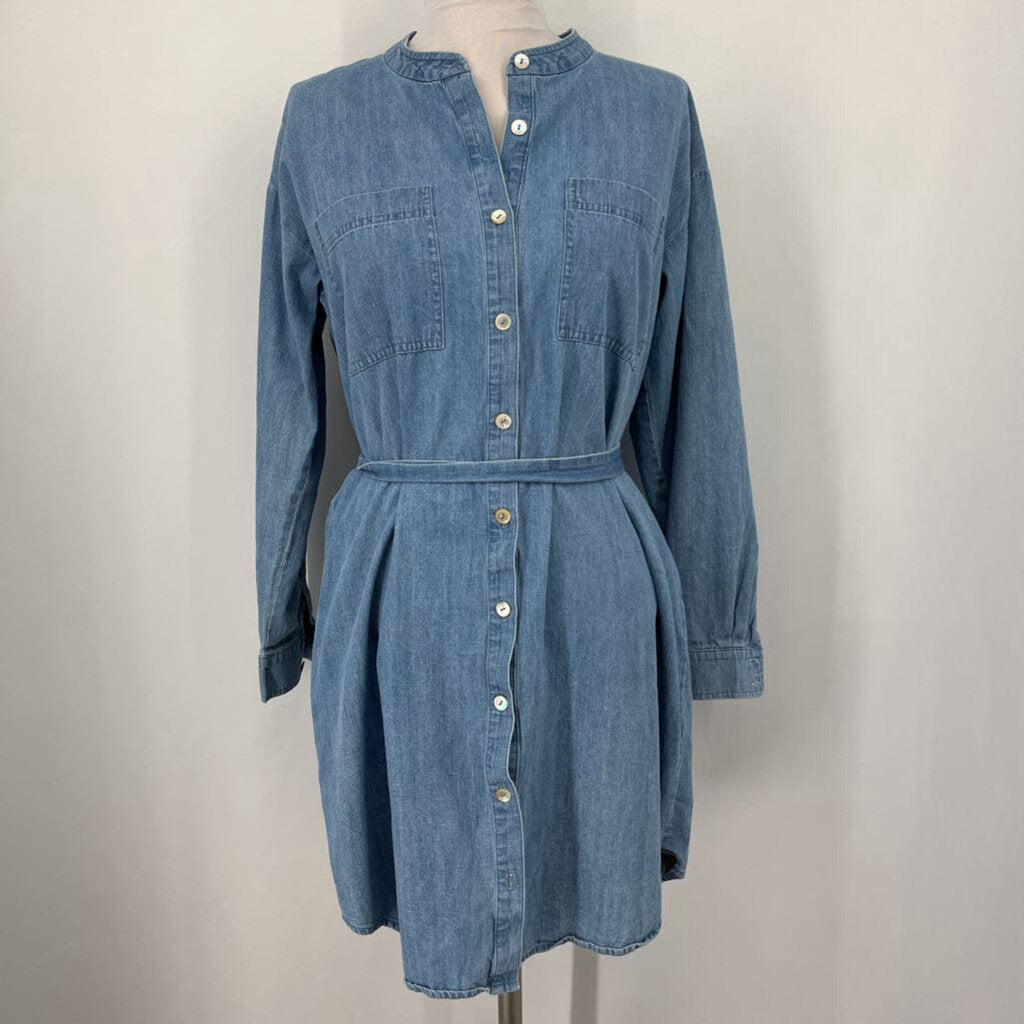 Eileen Fisher L/s Dress