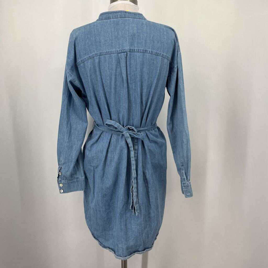 Eileen Fisher L/s Dress
