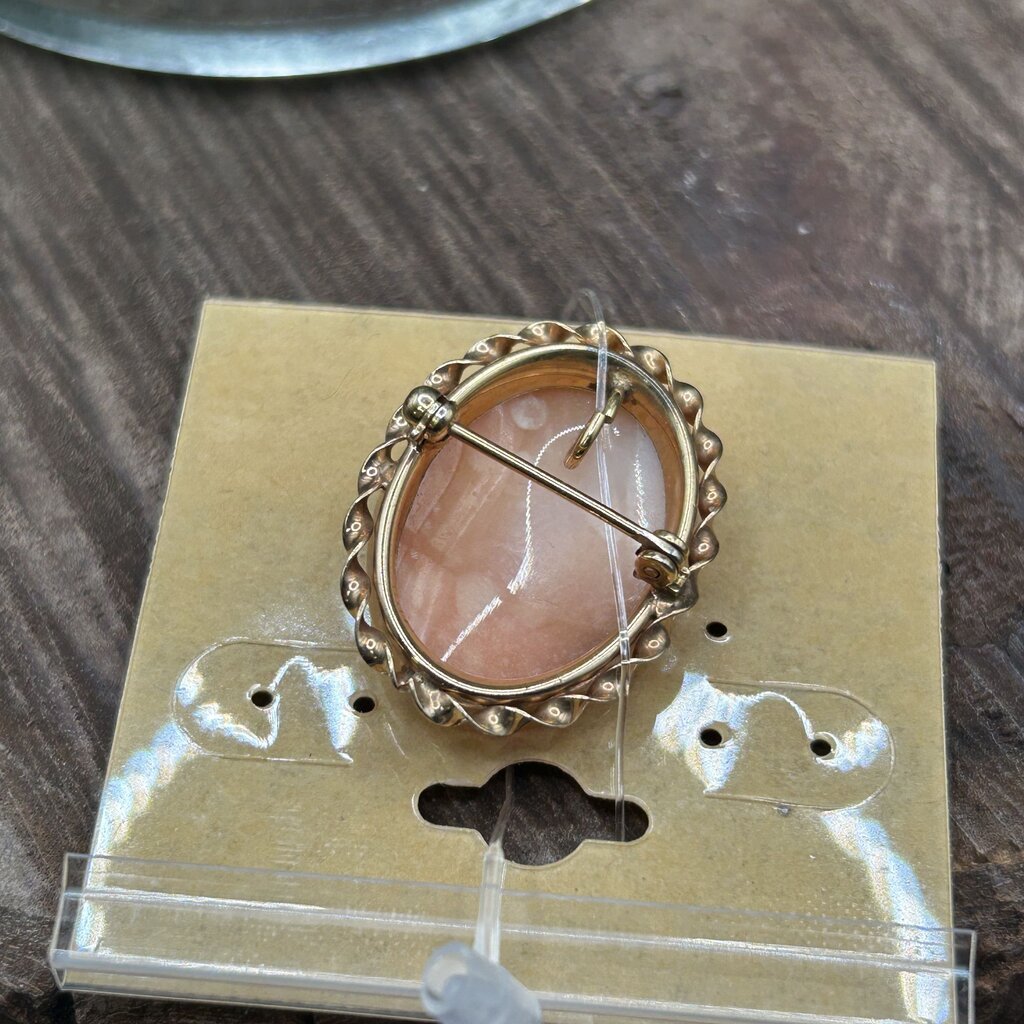 VTG Cameo Brooch