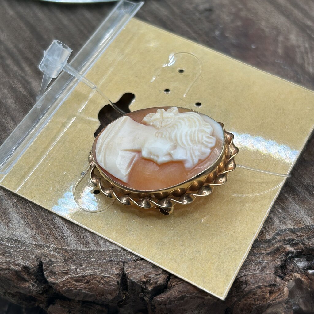 VTG Cameo Brooch