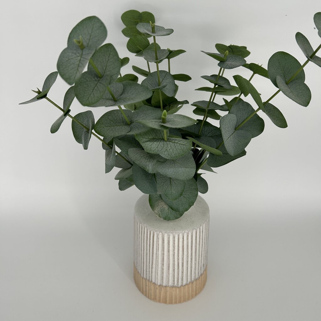 Eucalyptus in Ridged Vase