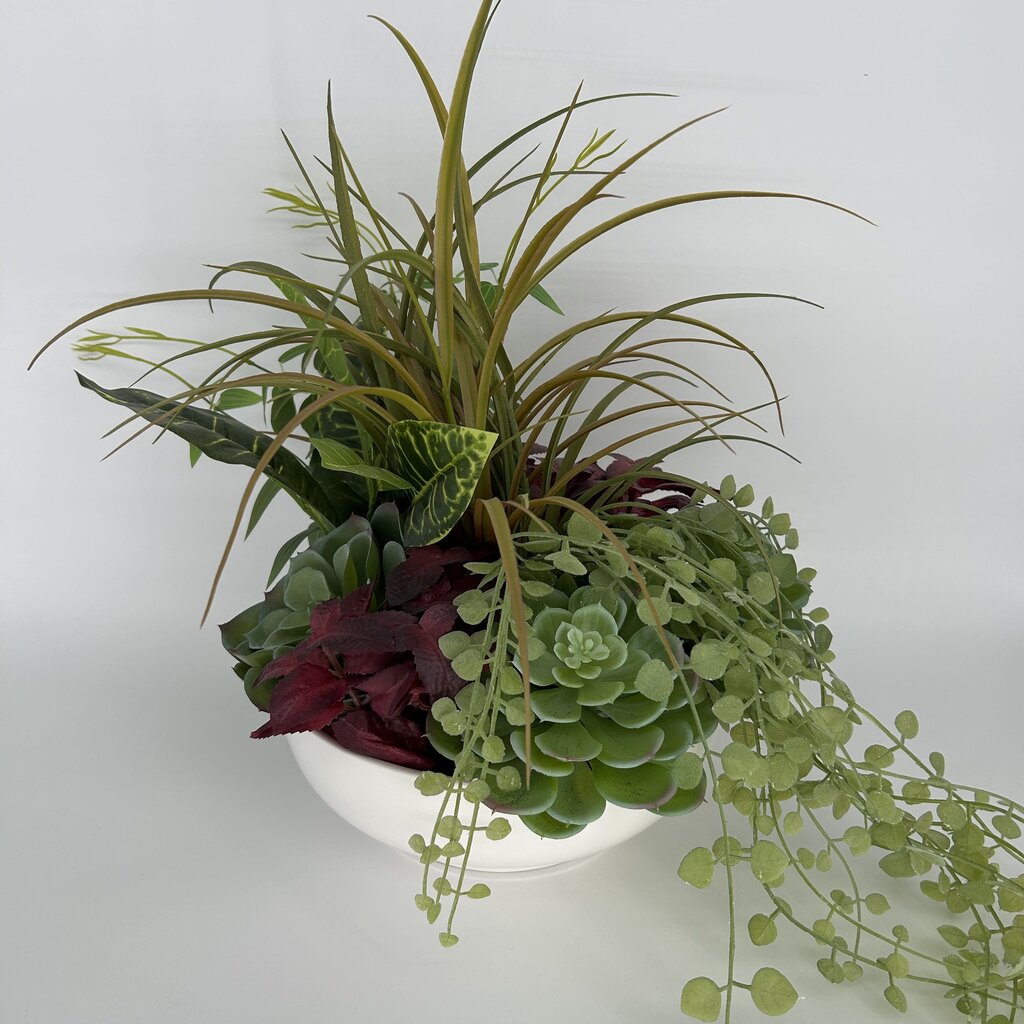 Succulent Bouquet in Bowl