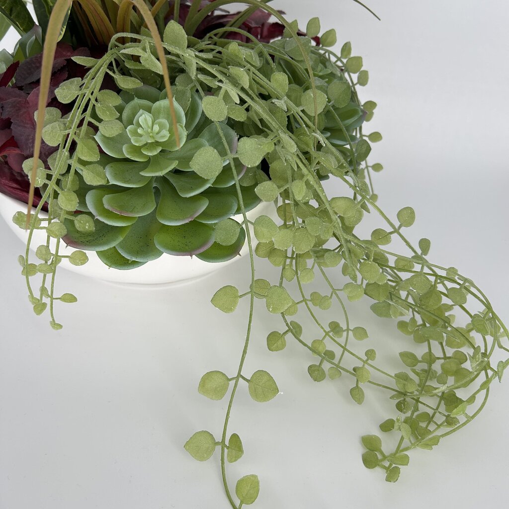 Succulent Bouquet in Bowl