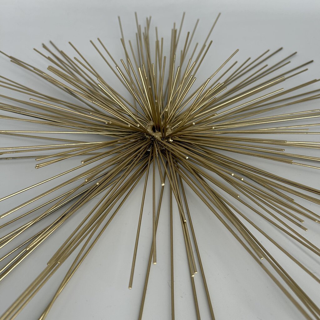Sea Urchin Wall Scupture