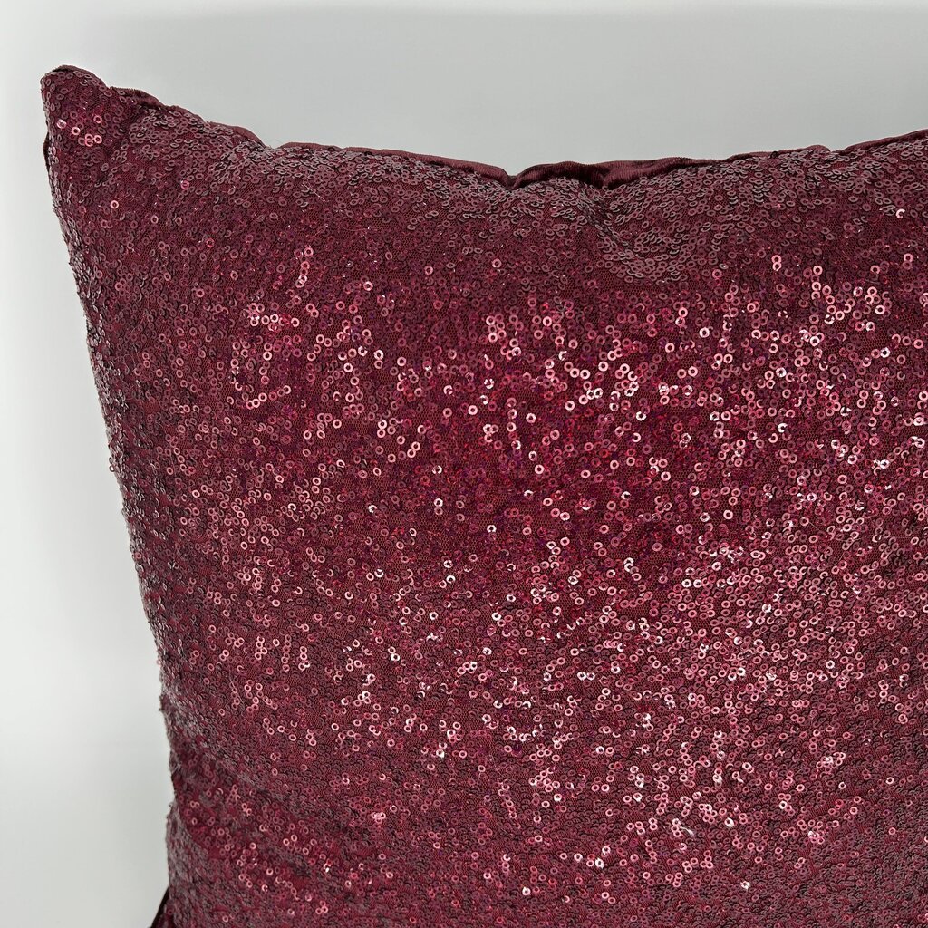 Sequin Front Throw Pillow
