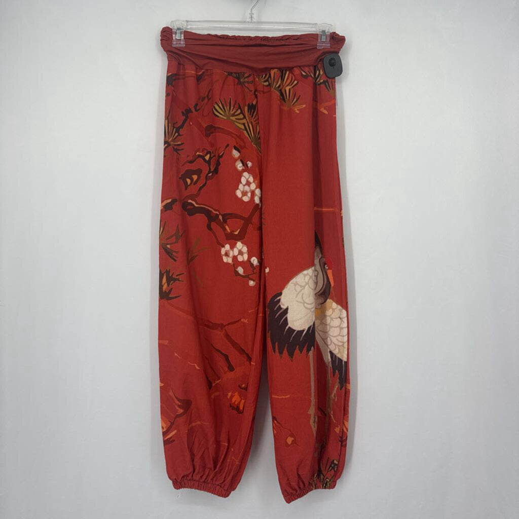 Budda Stones Pallazzo Pants