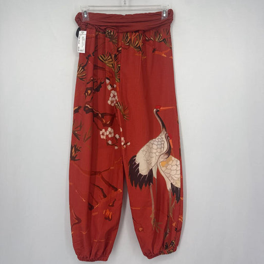 Budda Stones Pallazzo Pants