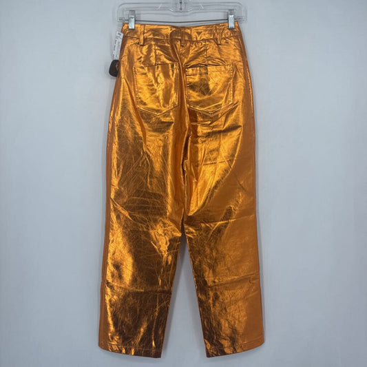 Amylynn Metalic Pants
