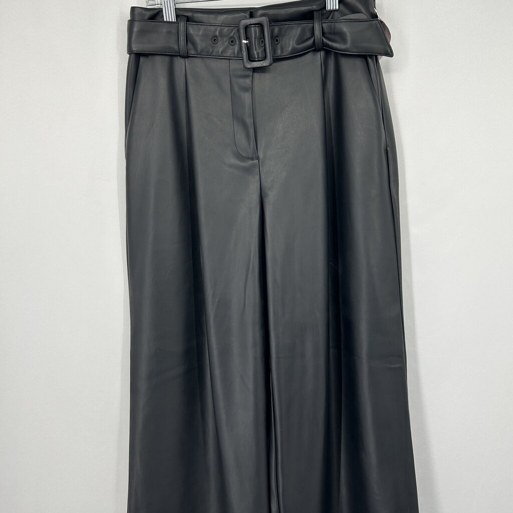 Loft Faux Leather Pants