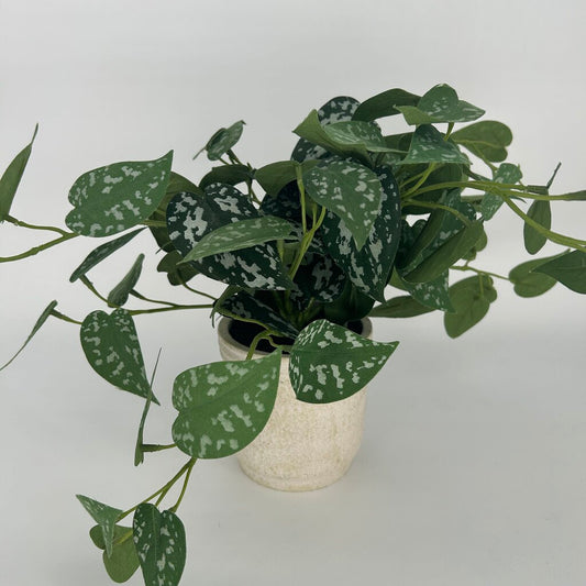 Faux Pothos in Pot