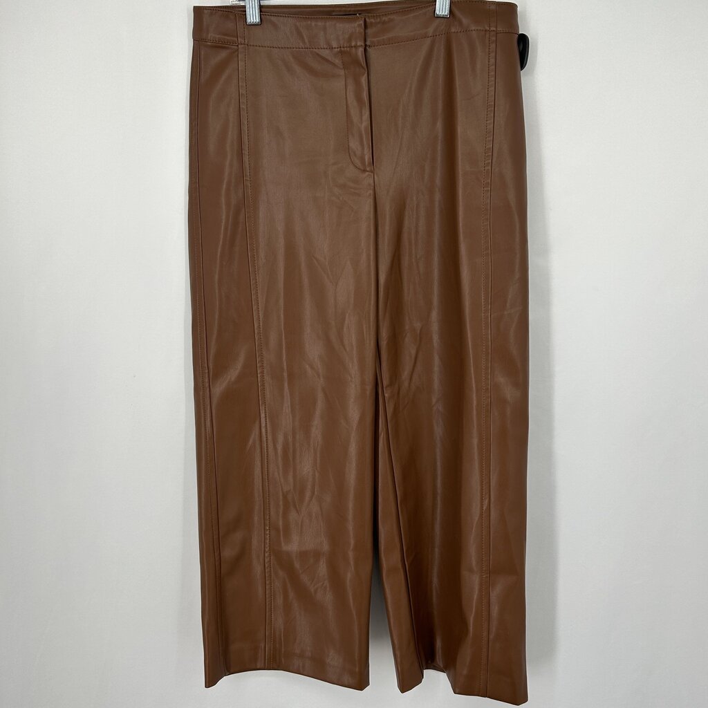 Ann Taylor Faux Lthr Pants