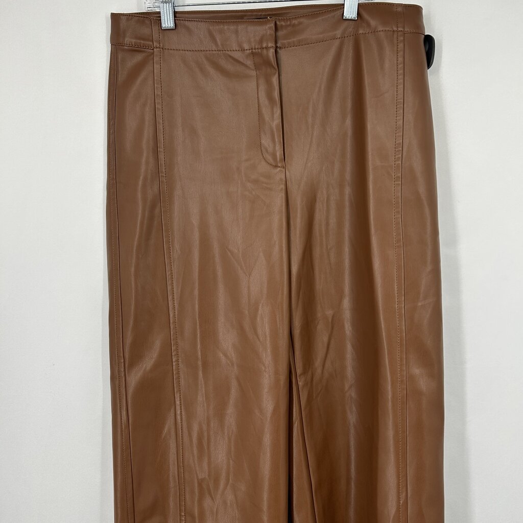 Ann Taylor Faux Lthr Pants