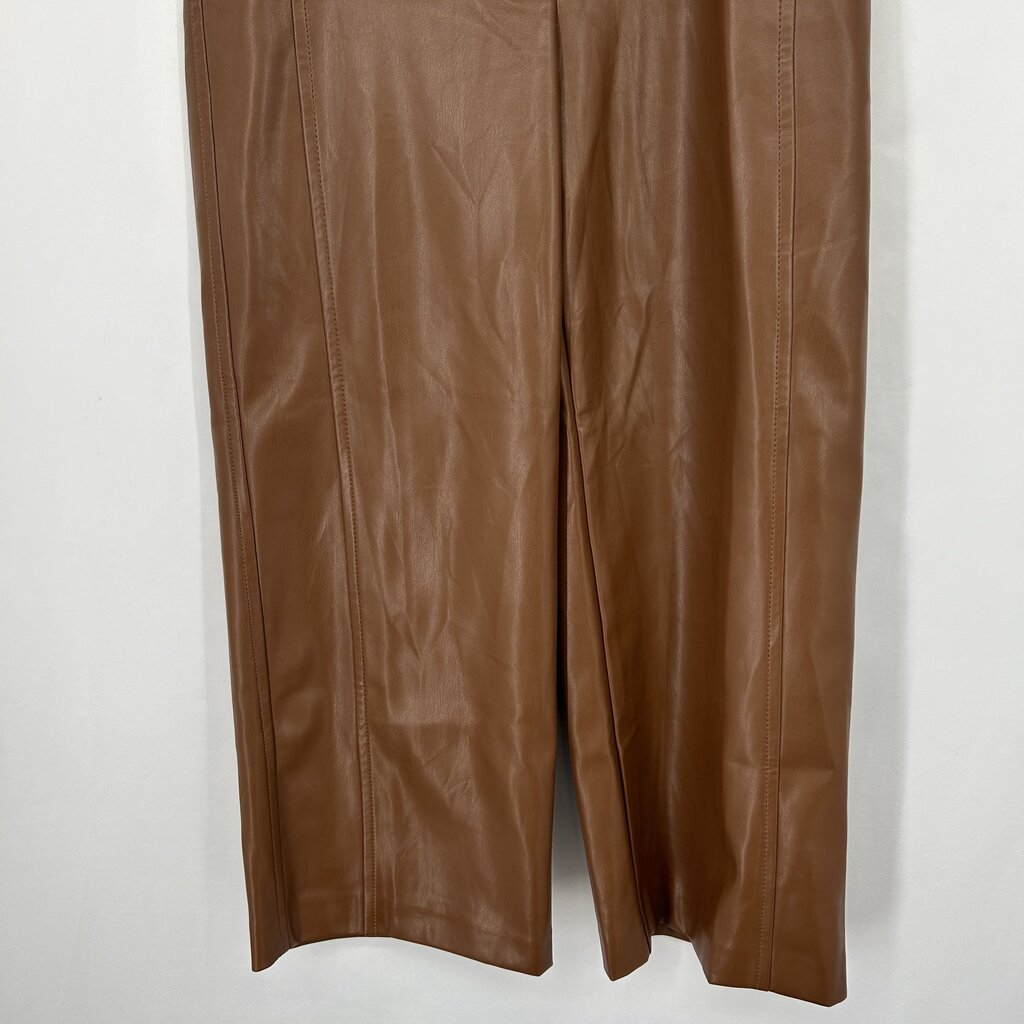 Ann Taylor Faux Lthr Pants