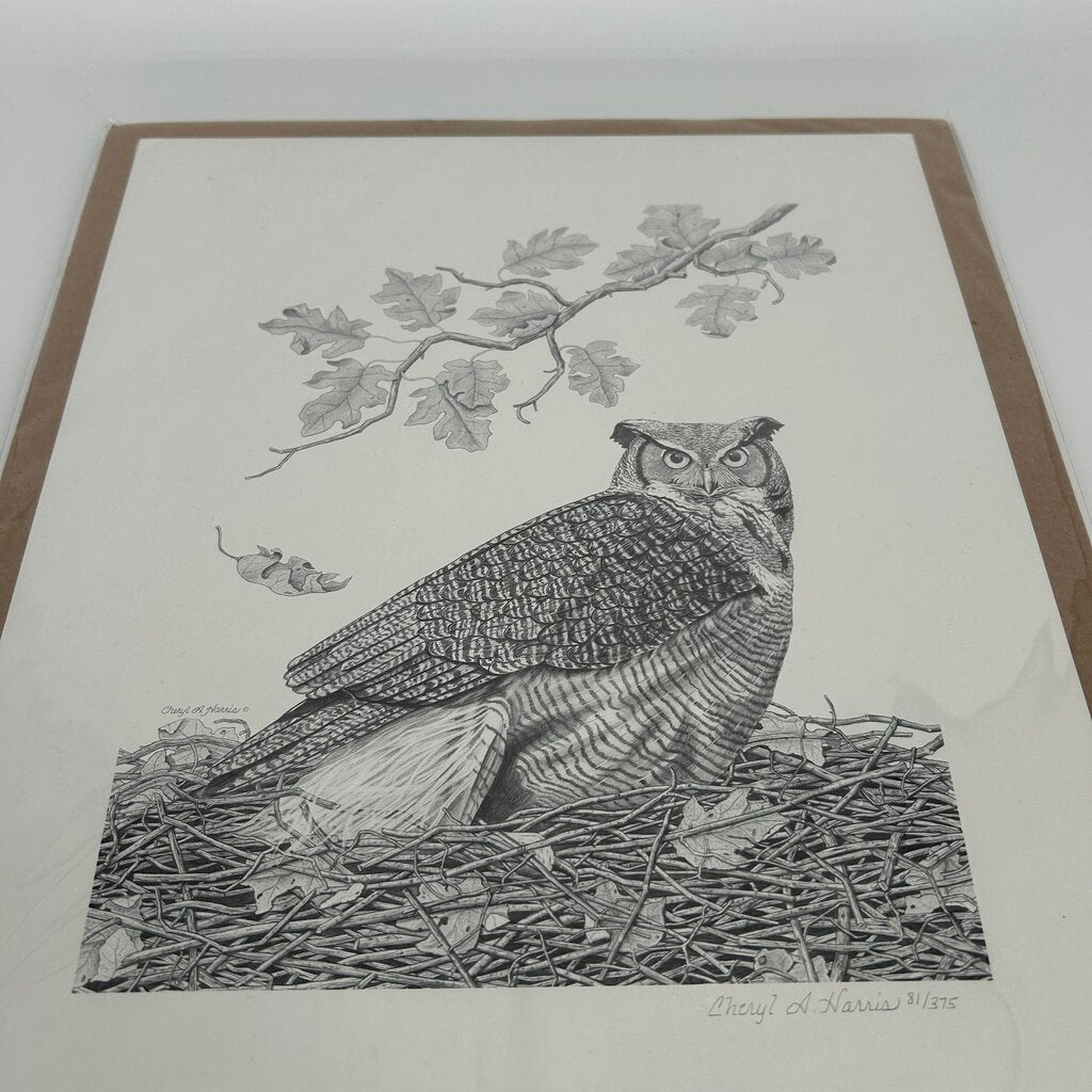 Owl Print