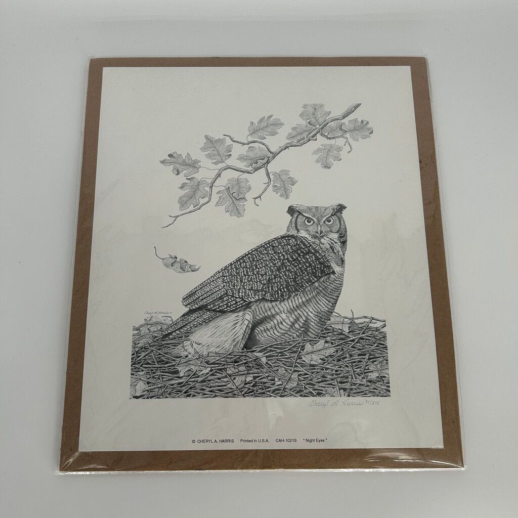 Owl Print