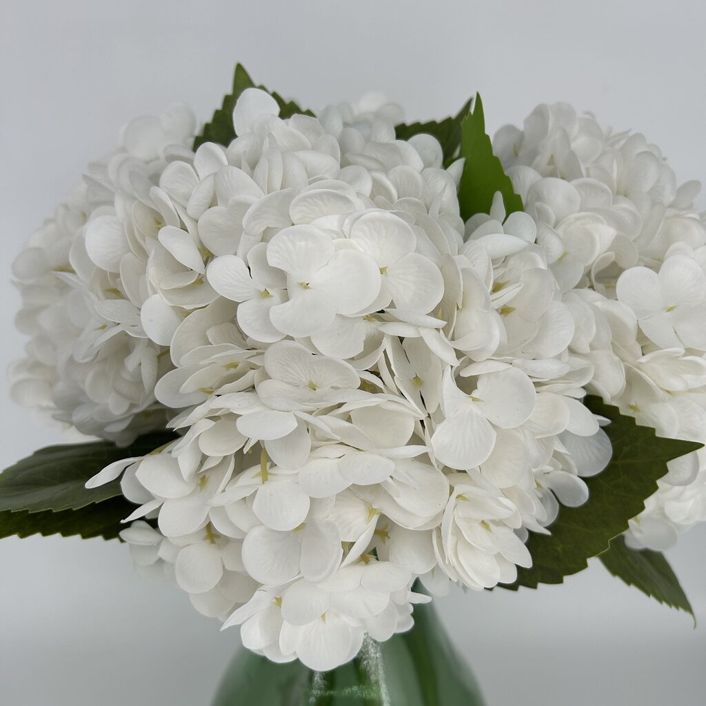 Tinted Glass Vase
