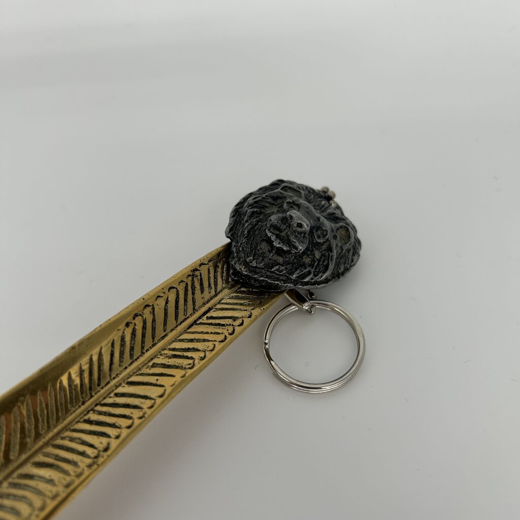 Metal Shoe Horn