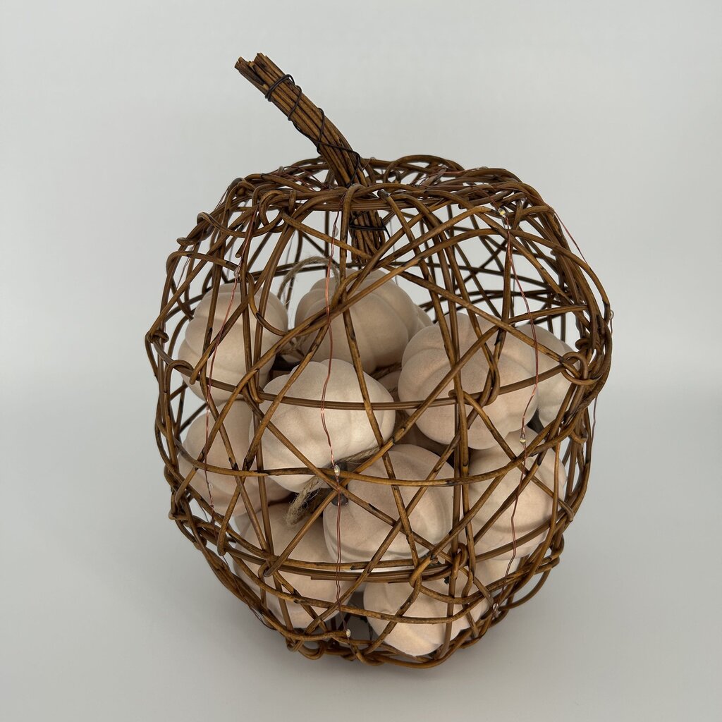 Grapevine Pumpkin w/ Pumpkin Filler