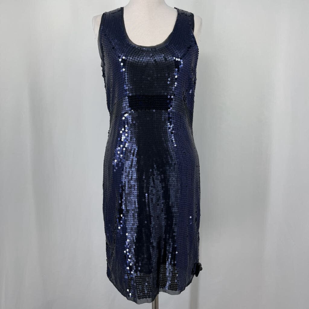 Max Studio Sequened Dress
